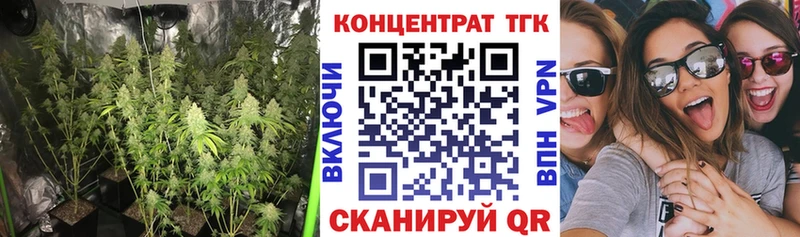 ТГК Wax  Киржач 