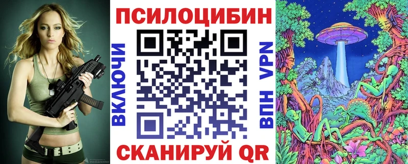 Галлюциногенные грибы Psilocybe  mega зеркало  Киржач 