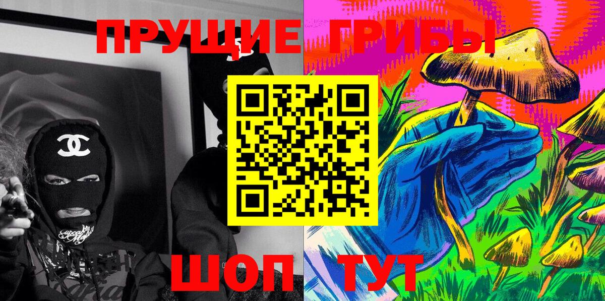 Галлюциногенные грибы Psilocybe Киржач