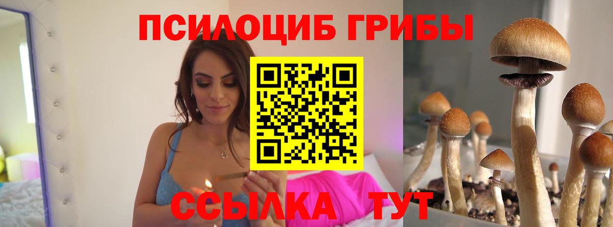 Киржач  Галлюциногенные грибы Psilocybine cubensis  закладки  Вход с VPN 